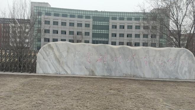 從硅材料工廠到尋常商品 拍賣市場的價格博弈與價值重塑